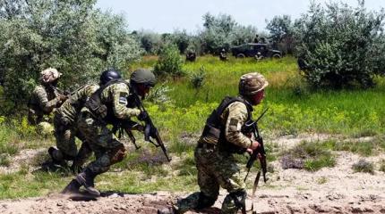 4,5 тысячи латиносов жаждут быть убитыми на подходах к Красному Лиману