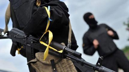Киев уже не отрицает: Нацбаты в Донбассе являются карательными Киев уже не отрицает: Нацбаты в Донбассе являются карательными