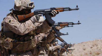 Сделано не у нас: в США хотят наладить производство российского оружия Сделано не у нас: в США хотят наладить производство российского оружия