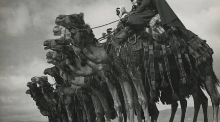 Как Англия, Франция и Турция планировали захватить Кавказ в 1940 году Как Англия, Франция и Турция планировали захватить Кавказ в 1940 году