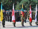 «ЛитПолУкрбриг», Украина и НАТО: обходной маневр