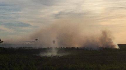 Россия виновата: В Эстонии вторые сутки горит военный полигон