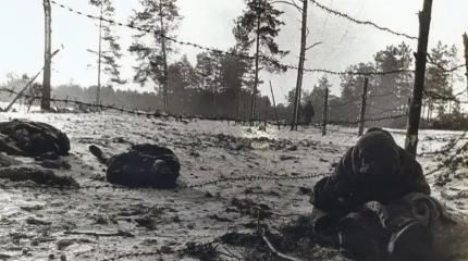 Великая Отечественная война: страшная история концлагеря Озаричи