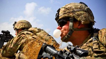 NI: пять самых громких военных провалов США NI: пять самых громких военных провалов США