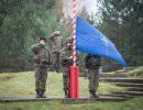 Спасут ли Литву 300 литовских «спартанцев»? Спасут ли Литву 300 литовских «спартанцев»?