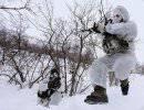 Английские морпехи примёрзли к памперсам и отказались от участия в учениях
