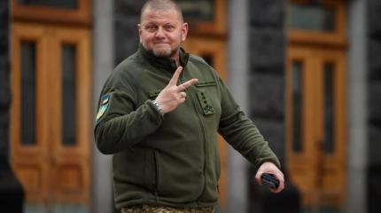 Израильский военный обозреватель развенчал миф о военном гении Залужного