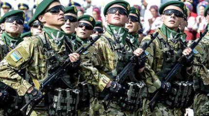 Блицкриг для Новороссии Блицкриг для Новороссии