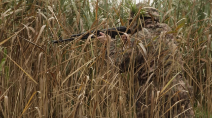 Вежливые: сентябрь — урожайный на новые технологии месяц