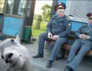 Почему представители "органов" против права людей на оружие самозащиты