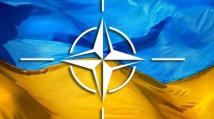 Шаг в НАТО: Украина отказалась от внеблокового статуса Шаг в НАТО: Украина отказалась от внеблокового статуса