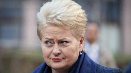 Грибаускайте заявила о нападении России на Литву Грибаускайте заявила о нападении России на Литву