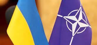 Украинские власти не теряют надежды затащить страну в НАТО Украинские власти не теряют надежды затащить страну в НАТО