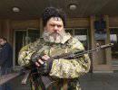 Немного о тактической бороде Немного о тактической бороде