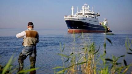 «Злые русские рыбаки заминировали Северное море»