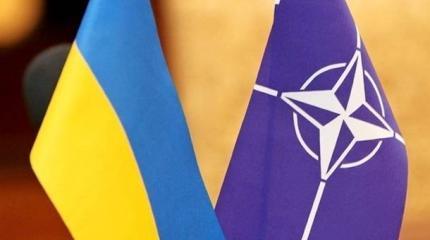 Украину могут принять в НАТО, несмотря на Крым и Донбасс Украину могут принять в НАТО, несмотря на Крым и Донбасс