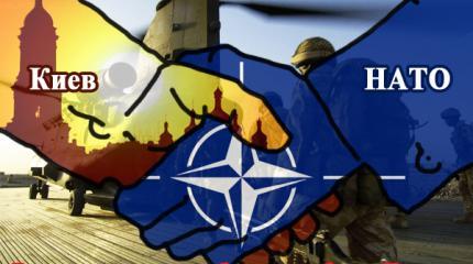 Украина становится передовой НАТО Украина становится передовой НАТО