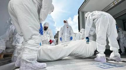 Россия вернула Украине 12 000 павших солдат ВСУ. Киев нам — 200