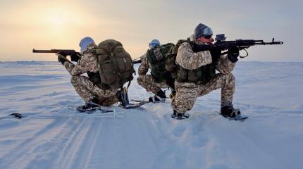 США предложили России совместные учения в Арктике США предложили России совместные учения в Арктике