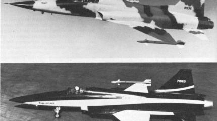 Боевые самолёты сегодня и завтра. Многоцелевой истребитель Northrop F-20 Ti Боевые самолёты сегодня и завтра. Многоцелевой истребитель Northrop F-20 Ti