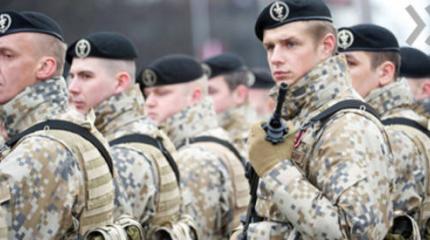 Страны Балтии вооружаются: что в 2014-м году закупали Латвия, Литва и Эстония