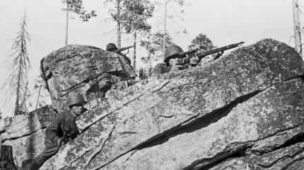Великая Отечественная война: крах фашисткой операции «Платинфукс»