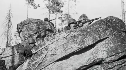 Великая Отечественная война: крах фашисткой операции «Платинфукс»