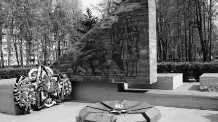 Великая Отечественная война: Старорусско-Новоржевская операция