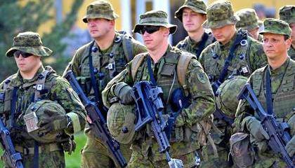 Подразделения политического назначения Подразделения политического назначения