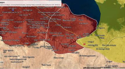 Сирийская армия освободила более 20 селений