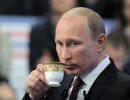 Гадание на навозной гуще Гадание на навозной гуще
