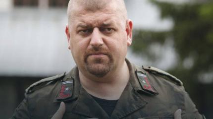 Истерика в Польше: "Возрождение Армии Крайовой" Истерика в Польше: "Возрождение Армии Крайовой"