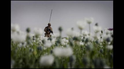 Выбрать, за что сражаться Выбрать, за что сражаться