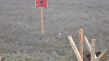 В ДНР разминируют 250 гектаров земли перед посевной