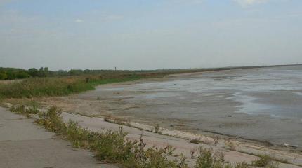 Ополченцы вышли к Азовскому морю в районе Новоазовска Ополченцы вышли к Азовскому морю в районе Новоазовска