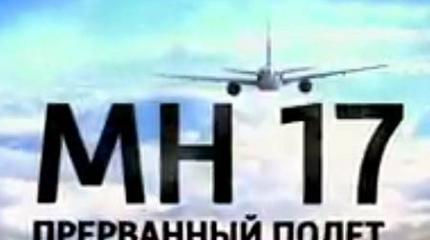 Рейс MH-17. Прерванный полет