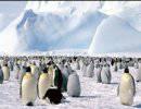 Китай ускорит строительство объектов в Антарктике