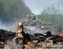 РФ требует расследования возможного участия наемников на стороне Киева РФ требует расследования возможного участия наемников на стороне Киева