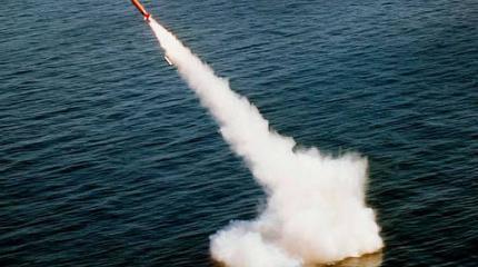 У Польши развивается ракетный комплекс У Польши развивается ракетный комплекс
