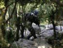Закаленная сирийской войной, «Хизбалла» еще более опасна Закаленная сирийской войной, «Хизбалла» еще более опасна