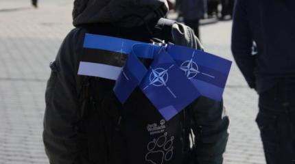 НАТО начал учения в Эстонии неподалеку от границ РФ НАТО начал учения в Эстонии неподалеку от границ РФ