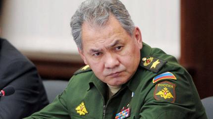 Шойгу меняет военные планы Шойгу меняет военные планы