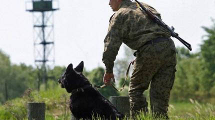 Убийство российского пограничника: в очередной раз промолчать - не вариант