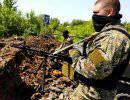 Когда повстанцы эффективнее армии Когда повстанцы эффективнее армии