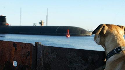 Корабли Северного флота вышли в море по тревоге Корабли Северного флота вышли в море по тревоге