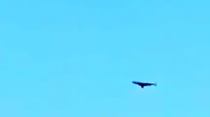 Реактивная "Герань-3" становится проклятием для украинской ПВО