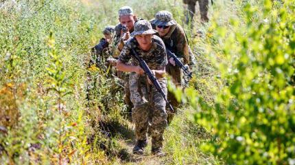 Ползучее наступление на Донбасс: Киев хочет дойти до Ростова