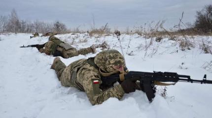 Каждый третий польский наемник на Украине уничтожен армией РФ