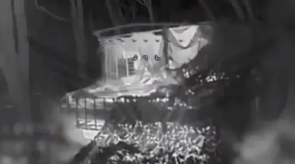 Бойню 11 танкам ВСУ, включая 4 Т-80, устроили бойцы Центра "Рубикон"