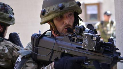 Состояние и перспективы развития Вооружённых сил Республики Словении